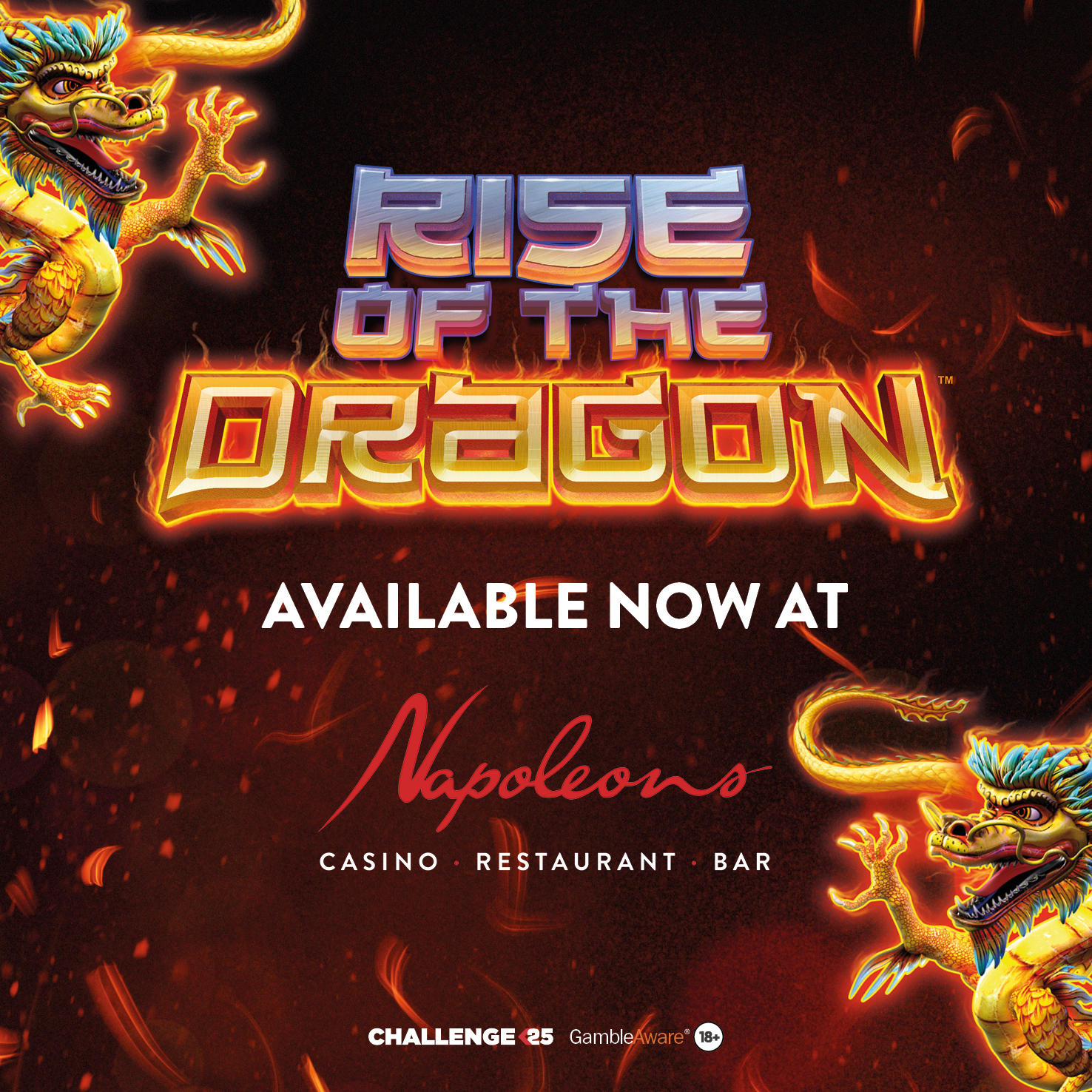 Experience Rise of the Dragon at Napoleons -  - Napoleons Casinos & Restaurants