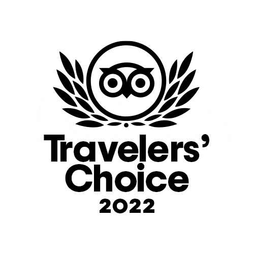 Animation TC 2022 Animation TC 2022